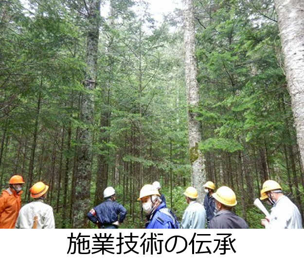 13現地研修にて講師として指導林家の方に講演をいただいている様子