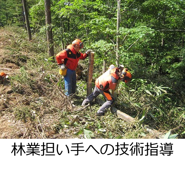 15研修会にて講師として青年林業士が講話している様子