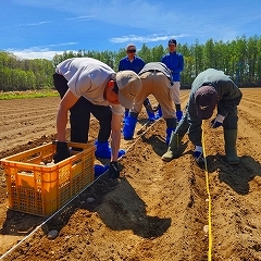 いもの植付作業！天気に恵まれました！
