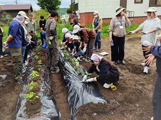 クラブ員と栗原学園生徒が野菜を植え付け