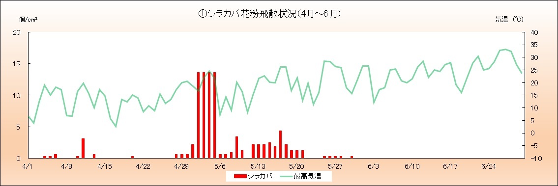 令和5年（2023年）シラカバ花粉飛散状況