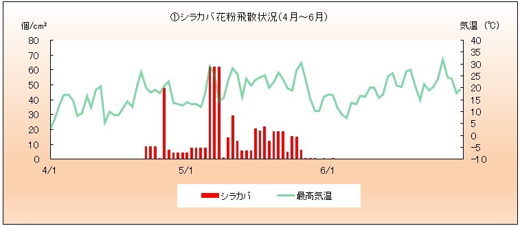 令和4年（2022年）シラカバ花粉飛散状況