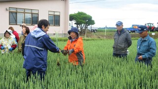 今までより自信を持って見分けることができたと話す女性農業者