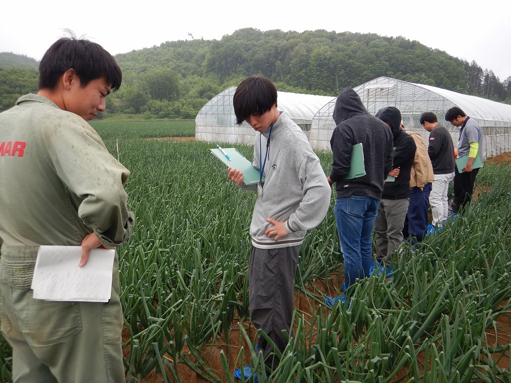 プロジェクトほ場で生育経過を確認