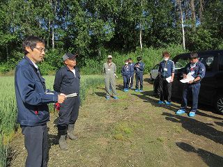 指導農業士である高崎氏のほ場にて、小麦を見比べました