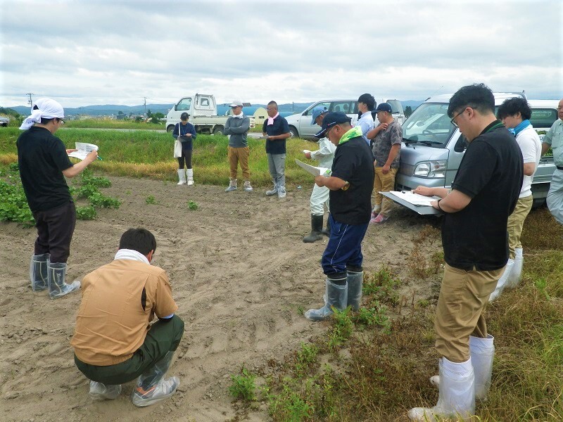 小豆栽植密度確認試験内容を説明