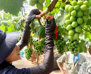 傷口に養生テープを巻く