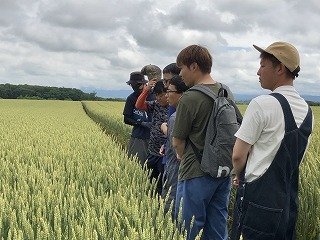 会員の秋まき小麦ほ場視察の様子