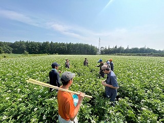 みんなで追肥作業を行っている様子