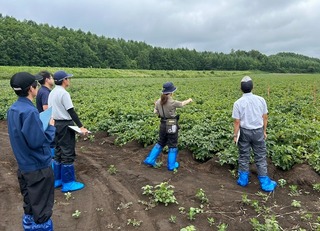 石垣普及職員から加工用ばれいしょの実証内容を説明
