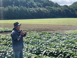 さつまいもほ場で説明する居城指導農業士