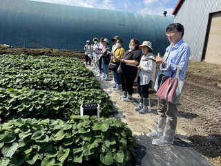 熱心にメモを取る女性農業者