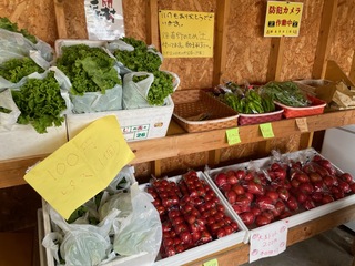 無人直売所の中の様子