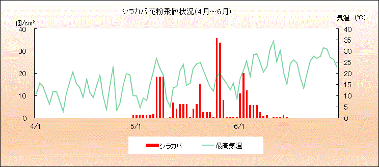 令和3年（2021年）シラカバ花粉飛散状況