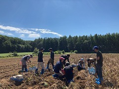 収量調査を行うプライズクラブ会員