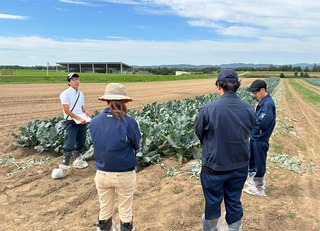 ブロッコリーほ場で生育状況を説明する斎藤普及指導員
