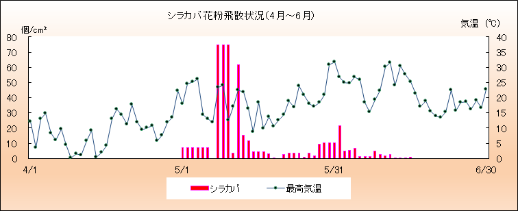 令和2年（2020年）シラカバ花粉飛散状況