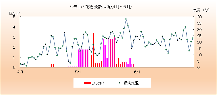 平成31・令和元年（2019年）シラカバ花粉飛散状況