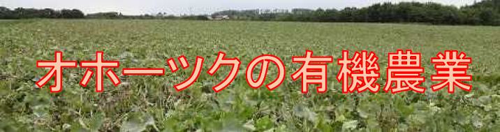 【写真】有機農業のページ.png