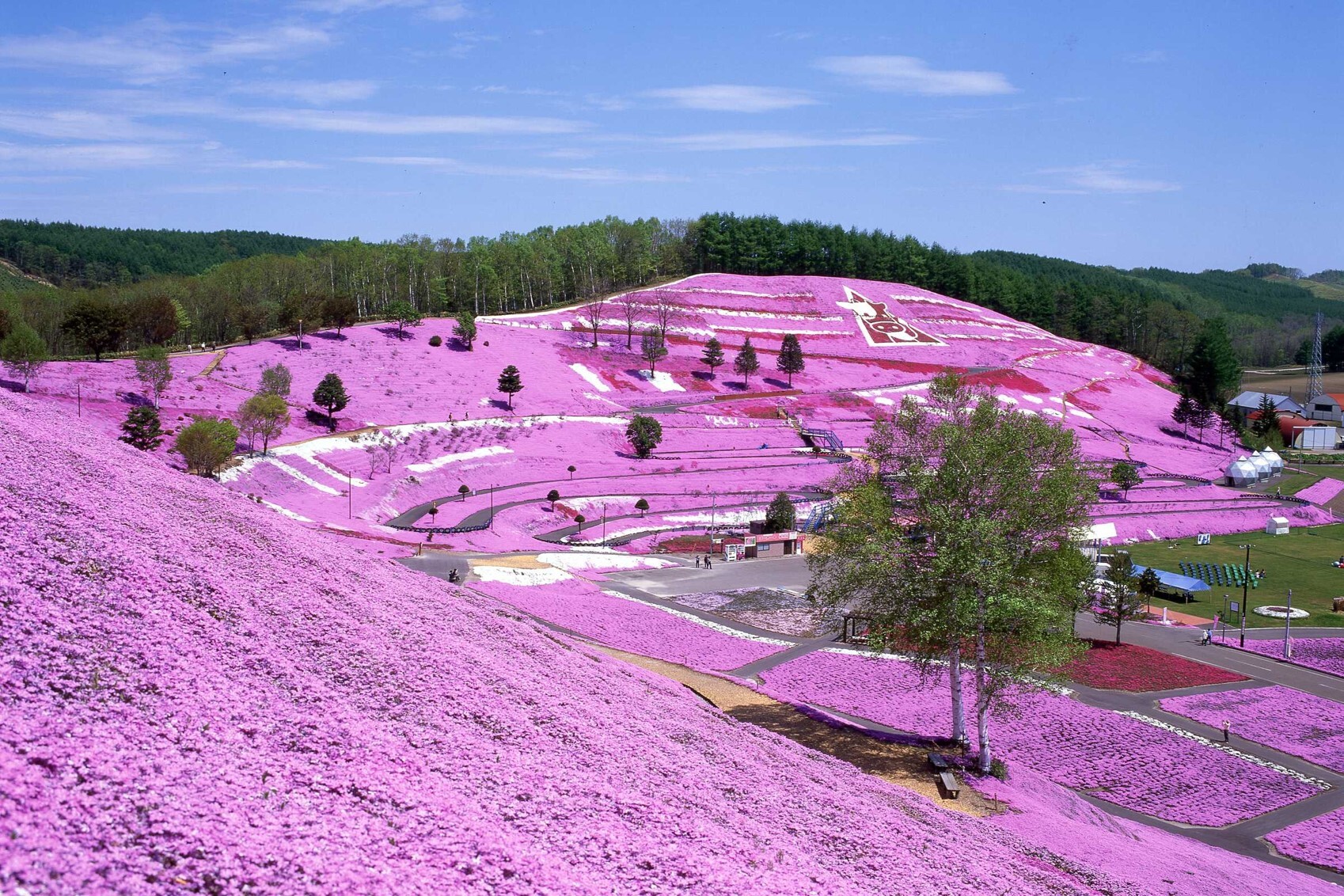 大空町