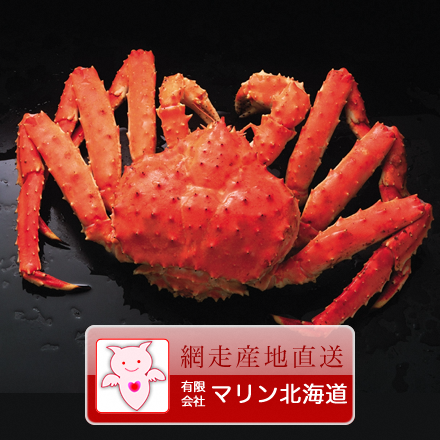 マリン北海道
