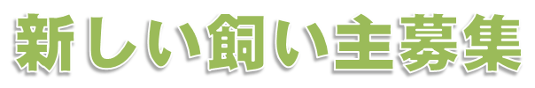 atarasiikainusi.png