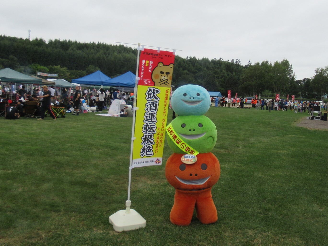 IMG_0890 (JPG 347KB)