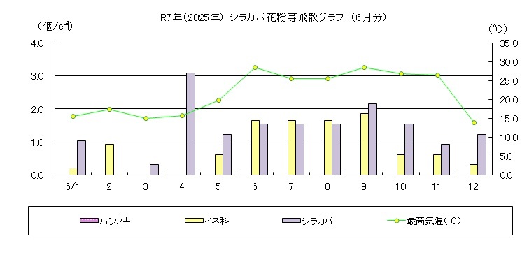 シラカバ花粉等飛散情報（6月）
