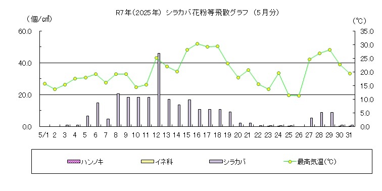 シラカバ花粉等飛散情報（5月）