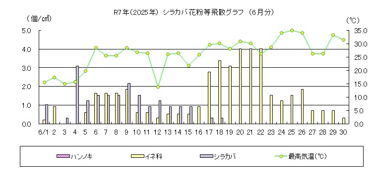 シラカバ花粉等飛散情報（6月）
