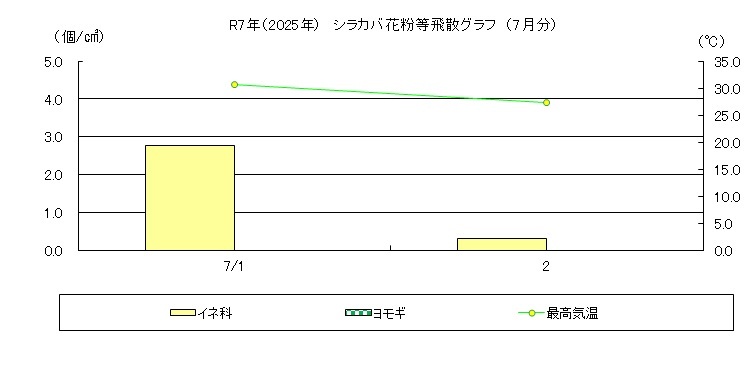 シラカバ花粉等飛散情報（7月）