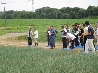 直播たまねぎの取組を代表より説明