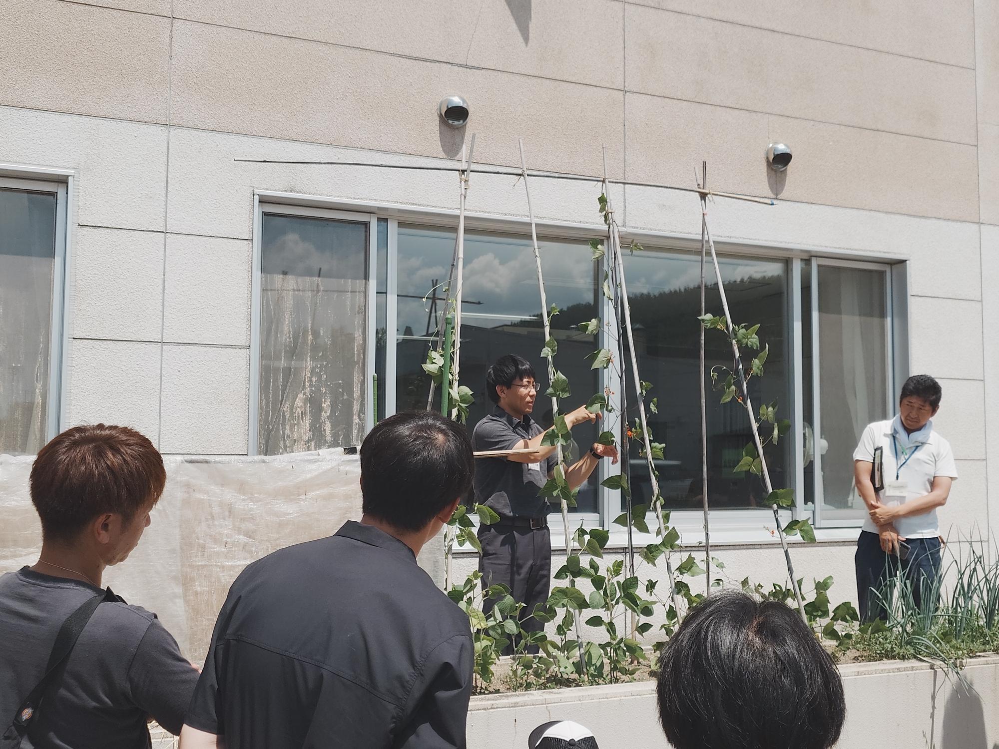 豆類の生理生態を普及指導員より説明しました