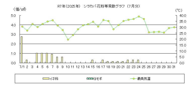 シラカバ花粉等飛散情報（7月）