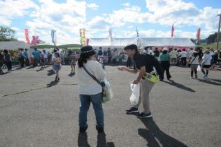 コスモス花火大会