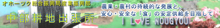 1_TOPバーナー (GIF 55.8KB)