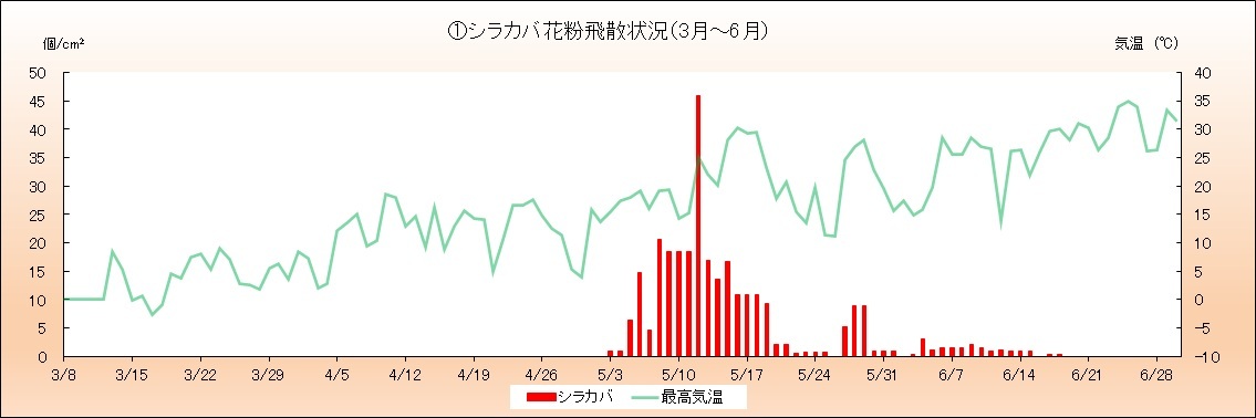 令和7年(2025年)シラカバ花粉飛散状況