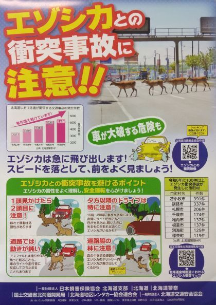 エゾシカとの衝突事故に注意