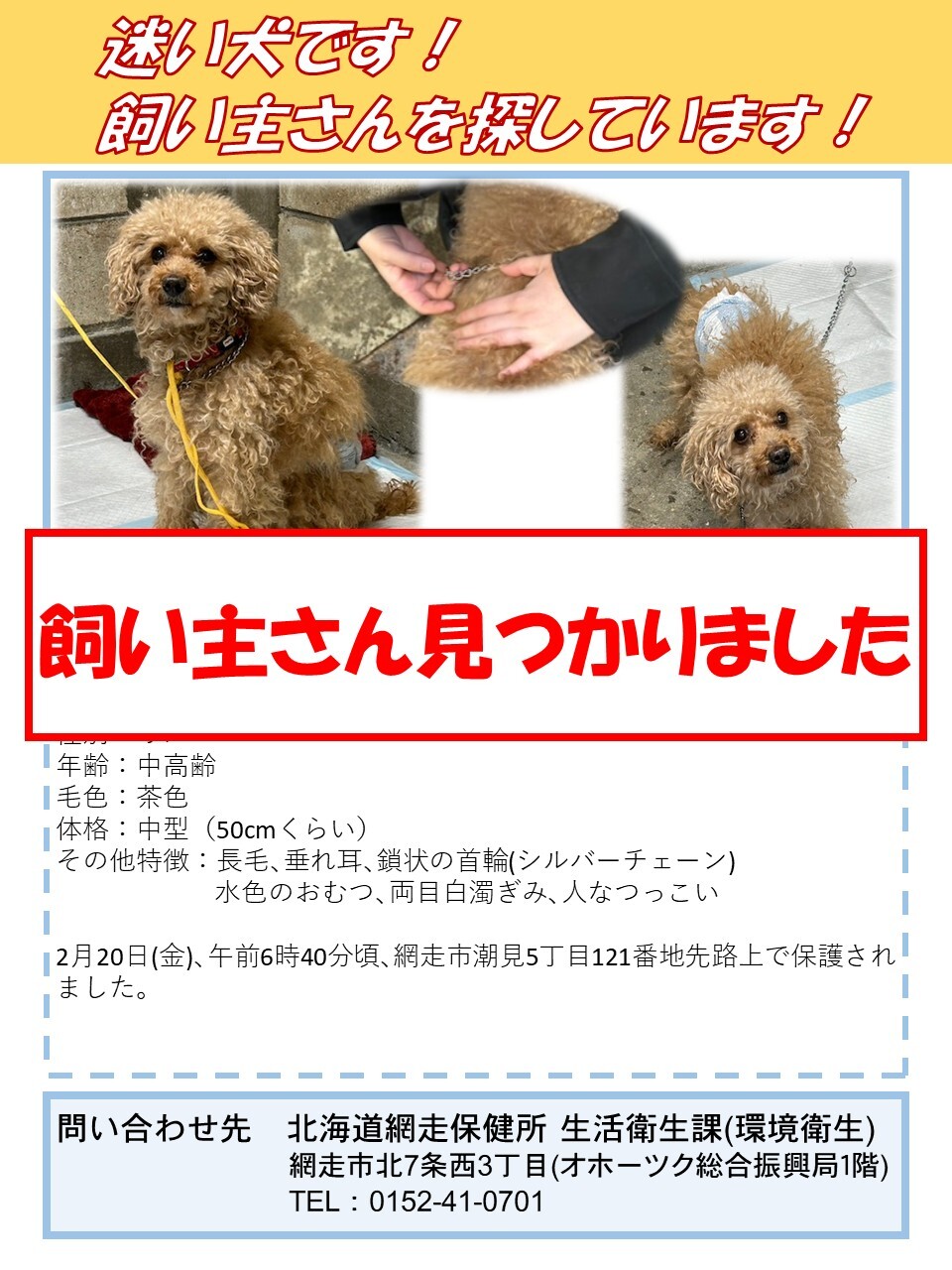 迷い犬猫ポスター(飼い主さん見つかりました).jpg