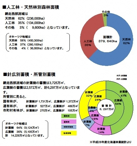 森林面積