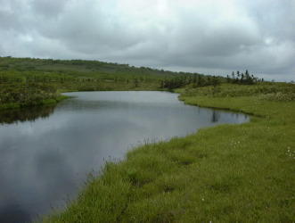 ピヤシリ湿原の池塘1