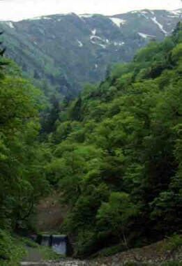 深く切れ込んだ山間の谷間