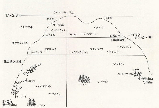 ウエンシリ岳の垂直分布図