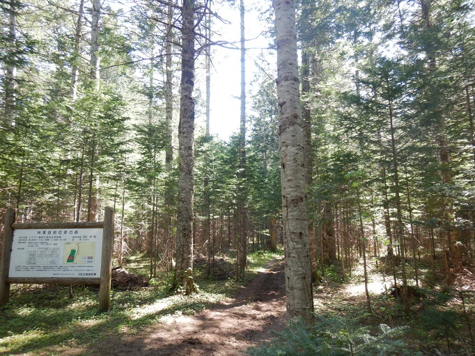 林業技術伝承の森