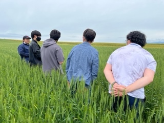 尾形氏の春まき小麦ほ場で試験の説明を聞く受講生たち