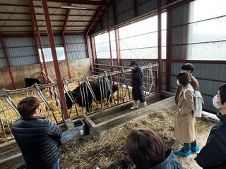 牛舎で和牛の飼養管理について学びました