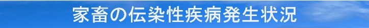 A.jpg