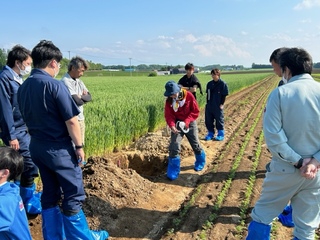 穴を掘り、土を触り、土の硬さなどを調査しました