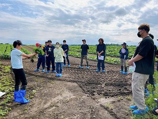 ばれいしょの生育調査手法と培土時期について学んでいます