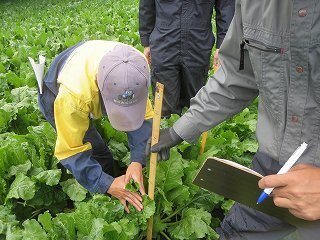 生育調査を実施する研修生